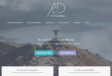 ACD Consulting