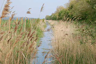 révision du programme d'actions régional